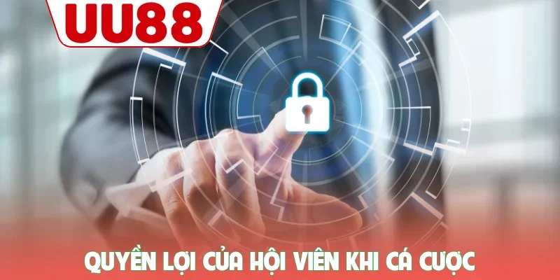 Quyền lợi của hội viên khi cá cược